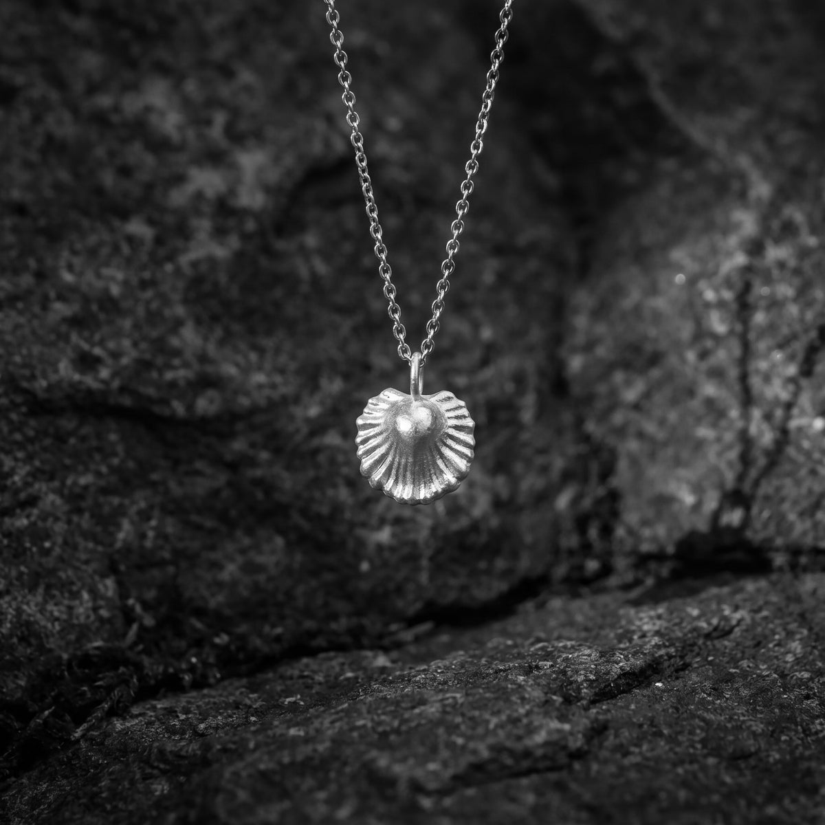 Silver scallop shell pendant hanging against a dark, textured stone background.