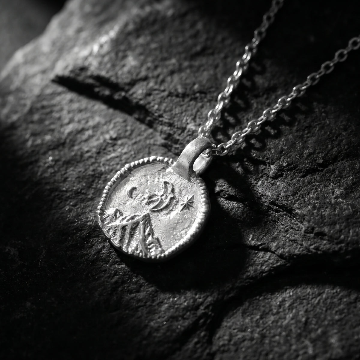 Angled close-up of the silver swallow medallion pendant and chain resting on a dark textured rock.